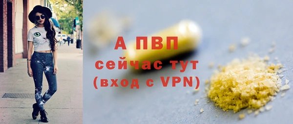 шишки Беломорск