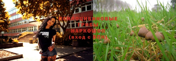 шишки Беломорск