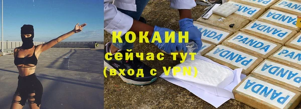шишки Беломорск