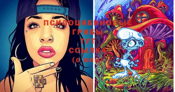 мдпв Белокуриха